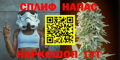 шишки Севастополь
