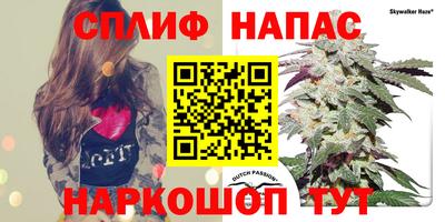 шишки Севастополь